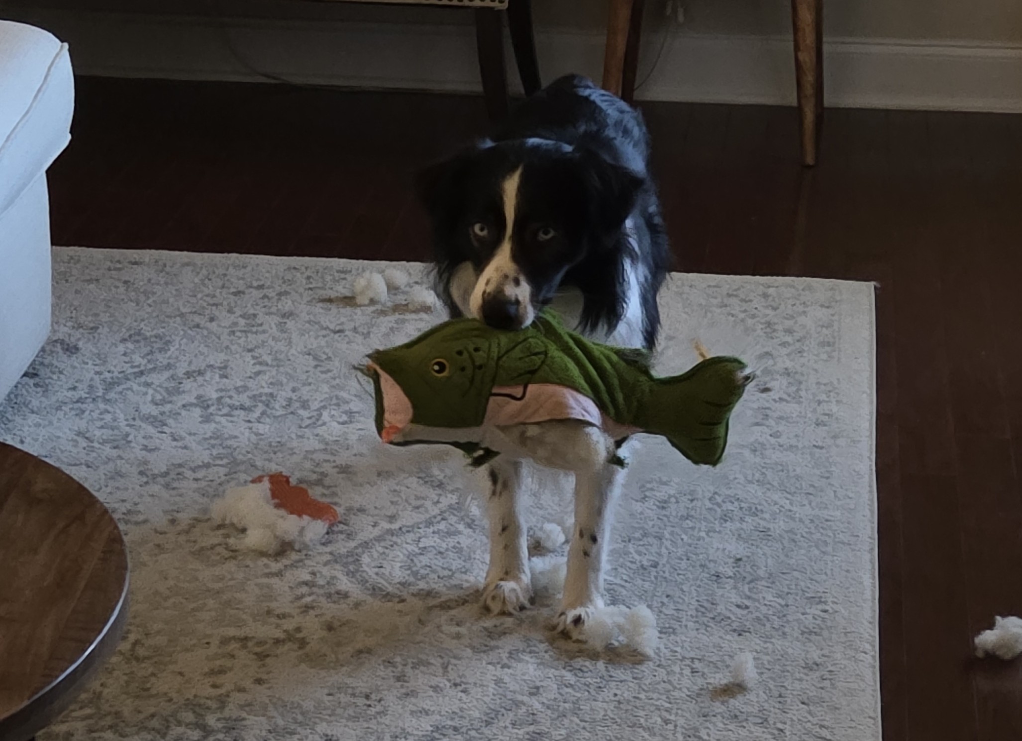 Benny with his fish
